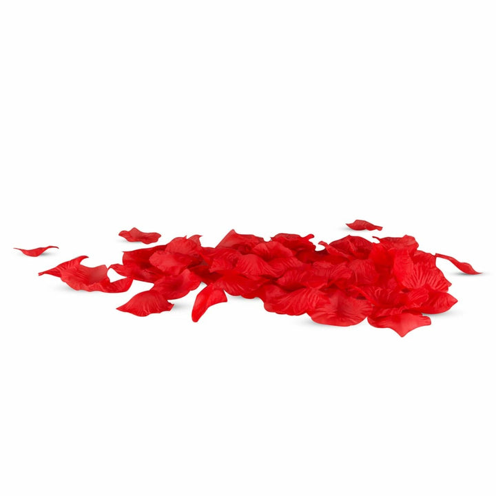 EasyToys Zestaw Startowy Intymny dla Par i Kobiet 7 elementow